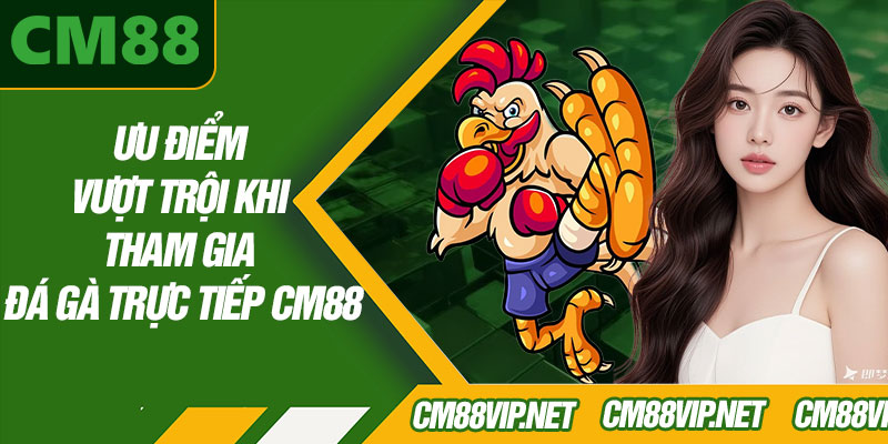 Ưu Điểm Vượt Trội Khi Tham Gia Đá Gà Trực Tiếp CM88